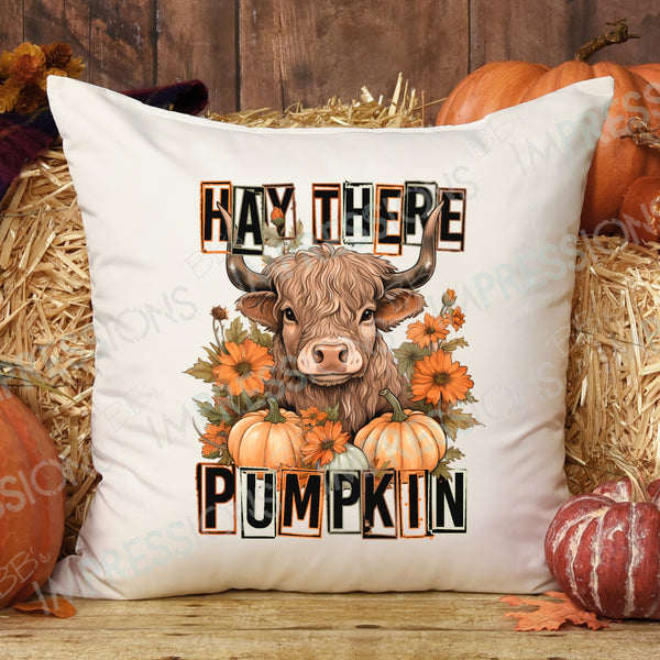 Hay There Pumpkin - Bull
