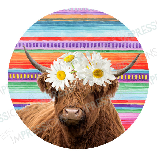 Coaster - Cow & Serape