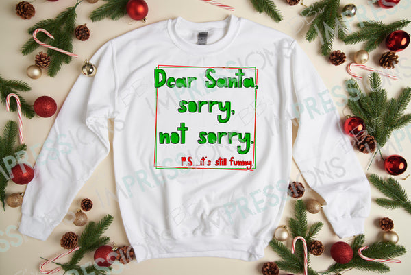 Dear Santa Sorry Not Sorry