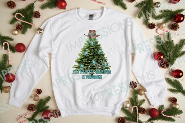 All I Want For Christmas Is Turquoise
